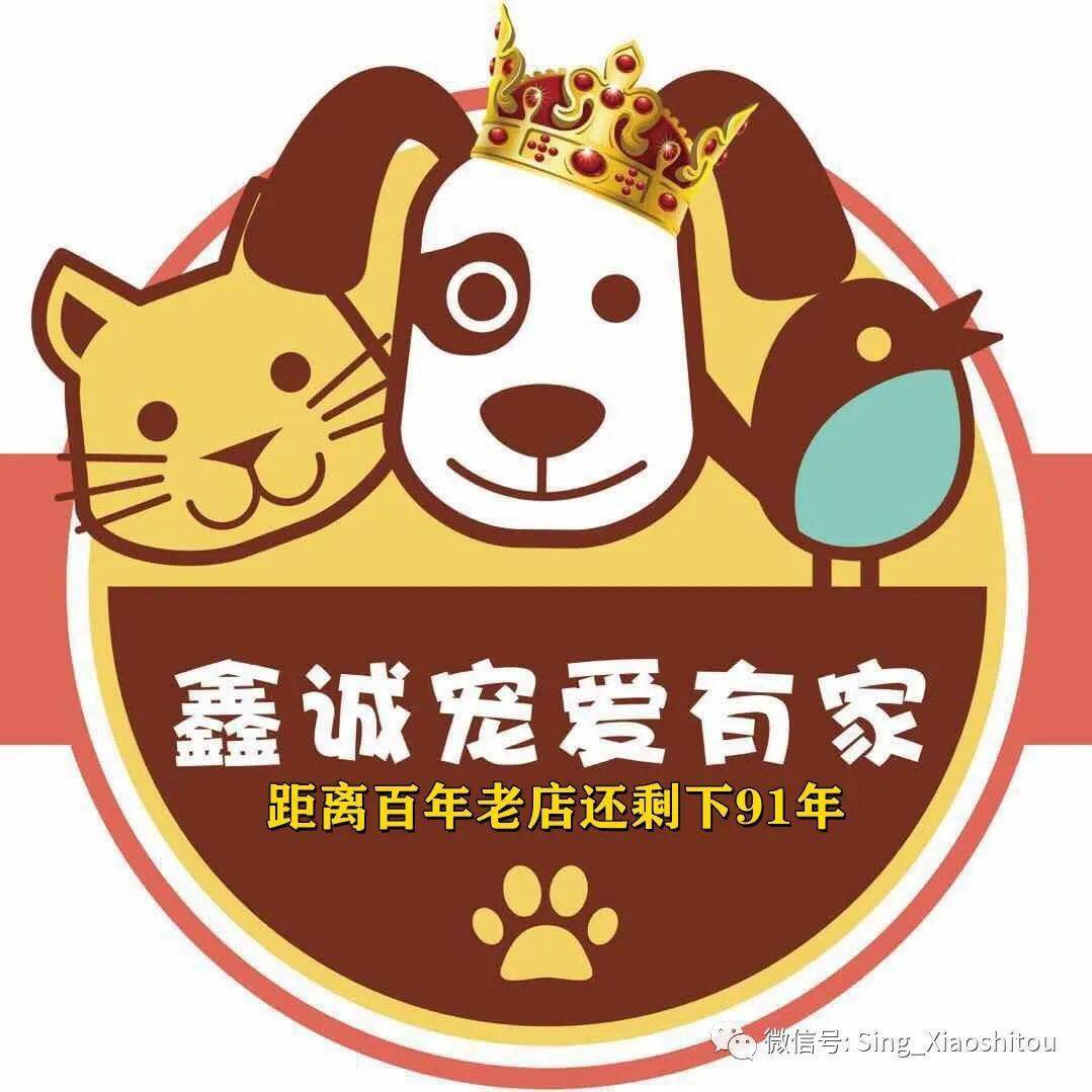 鑫诚宠爱有家感恩8周年