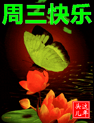 320_420 竖版 竖屏