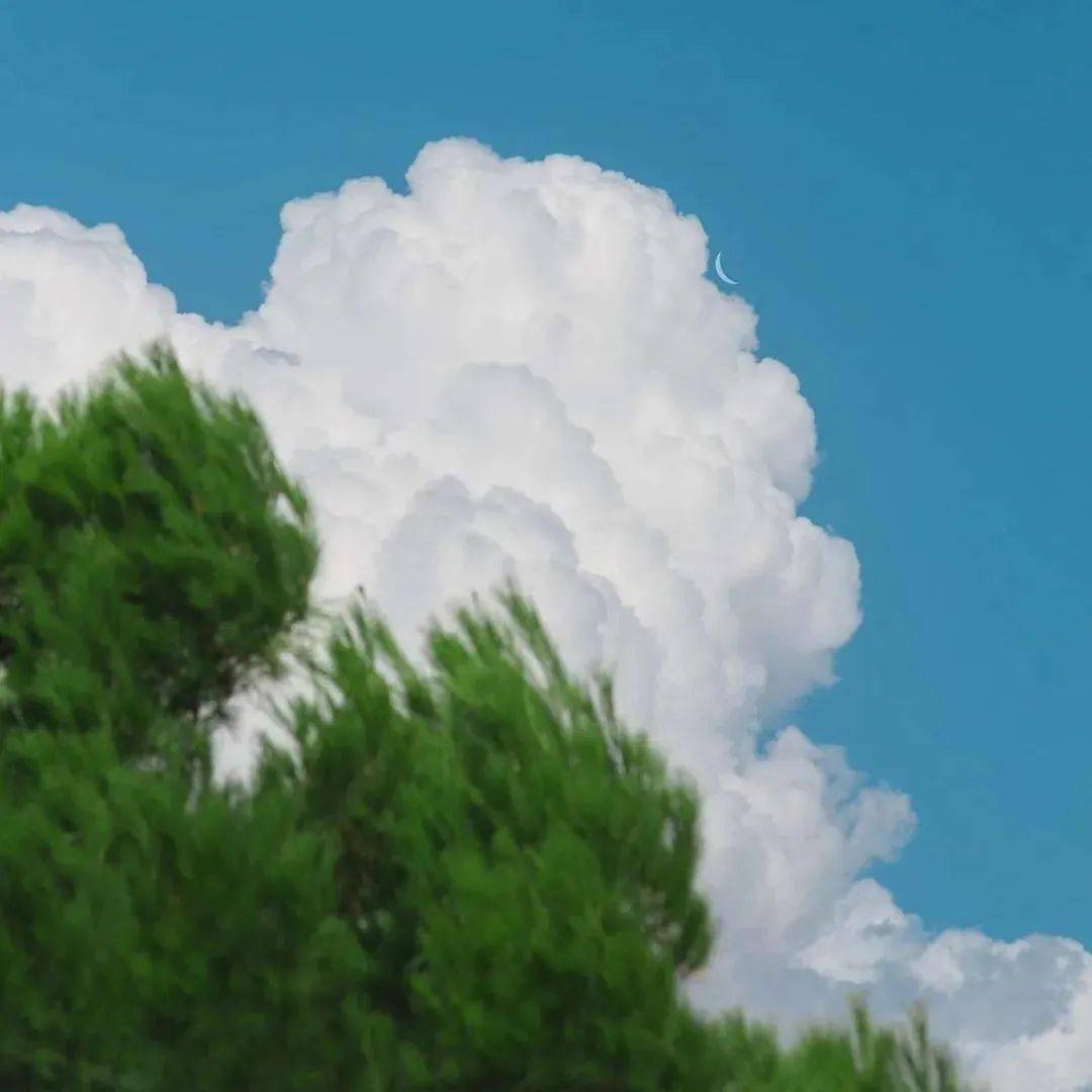 朋友圈背景图 丨自由生长