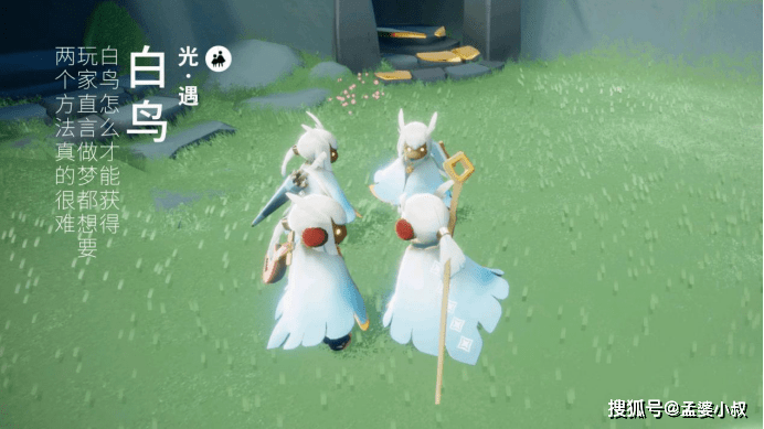 梦境探秘，解读做梦梦到了白色狐狸的深层含义