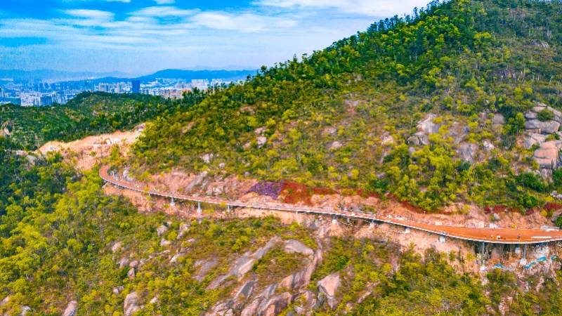 珠海打造城市山体中央公园步道_板樟山