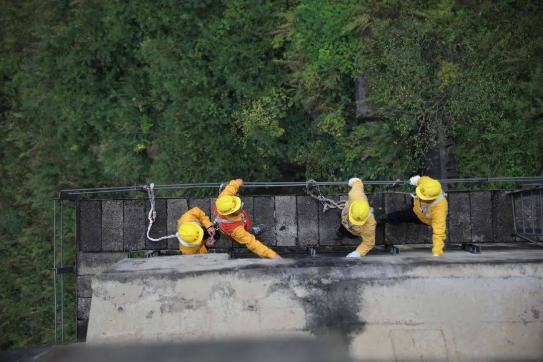 飞檐走壁的视频大全 4a152a24cb5340acbb73eed5ee7b2881.jpeg