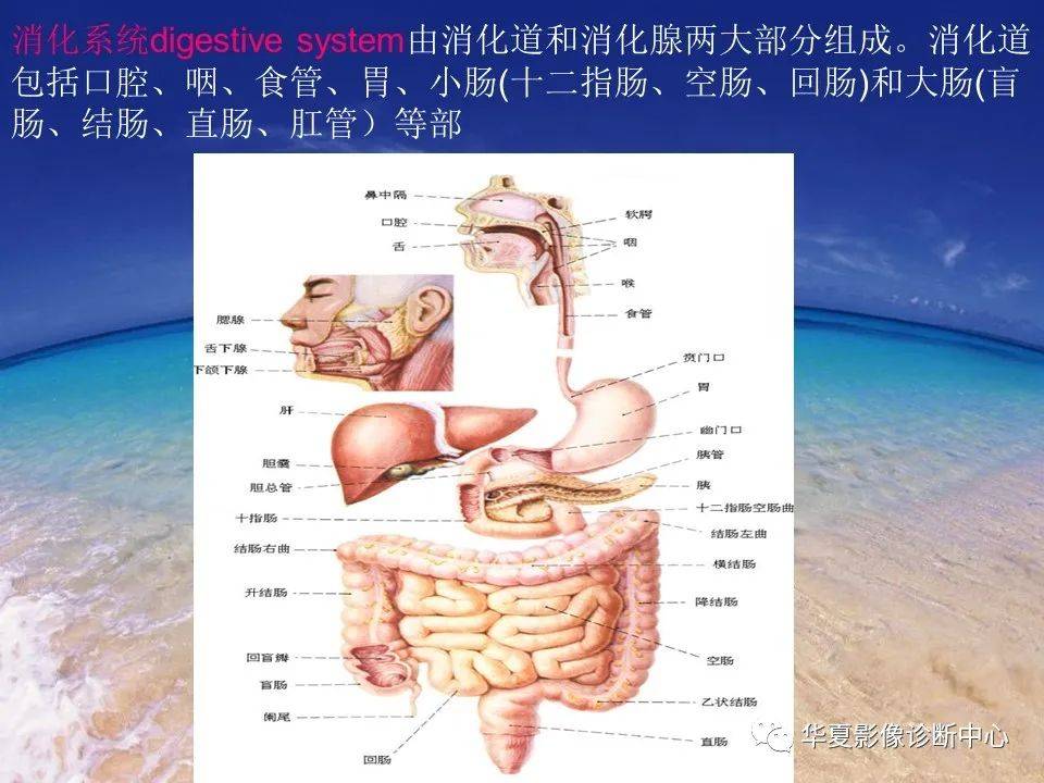 消化道穿孔的ct诊断