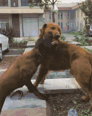 27fccce630ff427ab91c1dea6a427685.gif