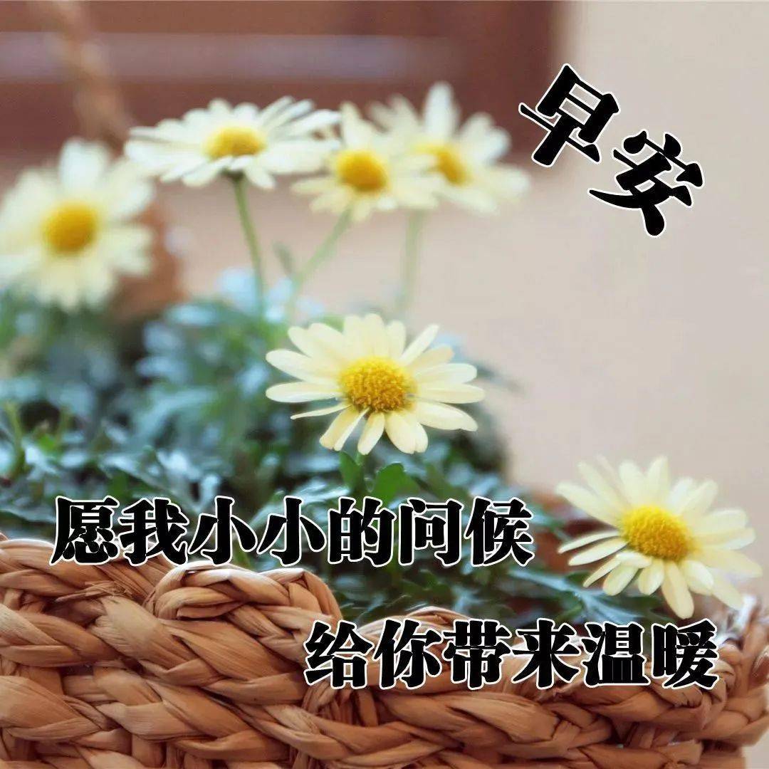 问候早上好温暖祝福语表情问候图片 周六很温馨的早晨