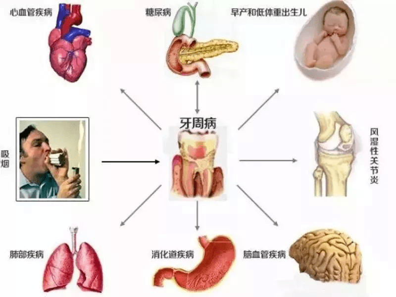 人有几颗上牙 8941932ab12f4e6599180732a139b9d6.png
