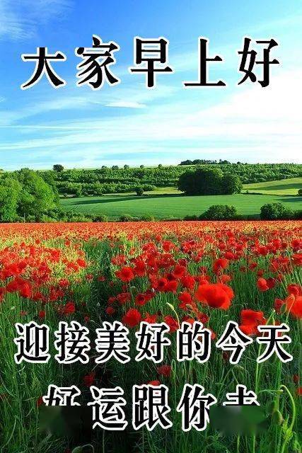 11月28日最漂亮早上好动态表情图片大全早晨好动图美图大全