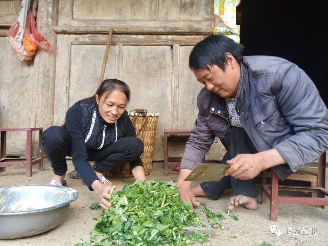马关县有多少人口_马关县第一中学(2)