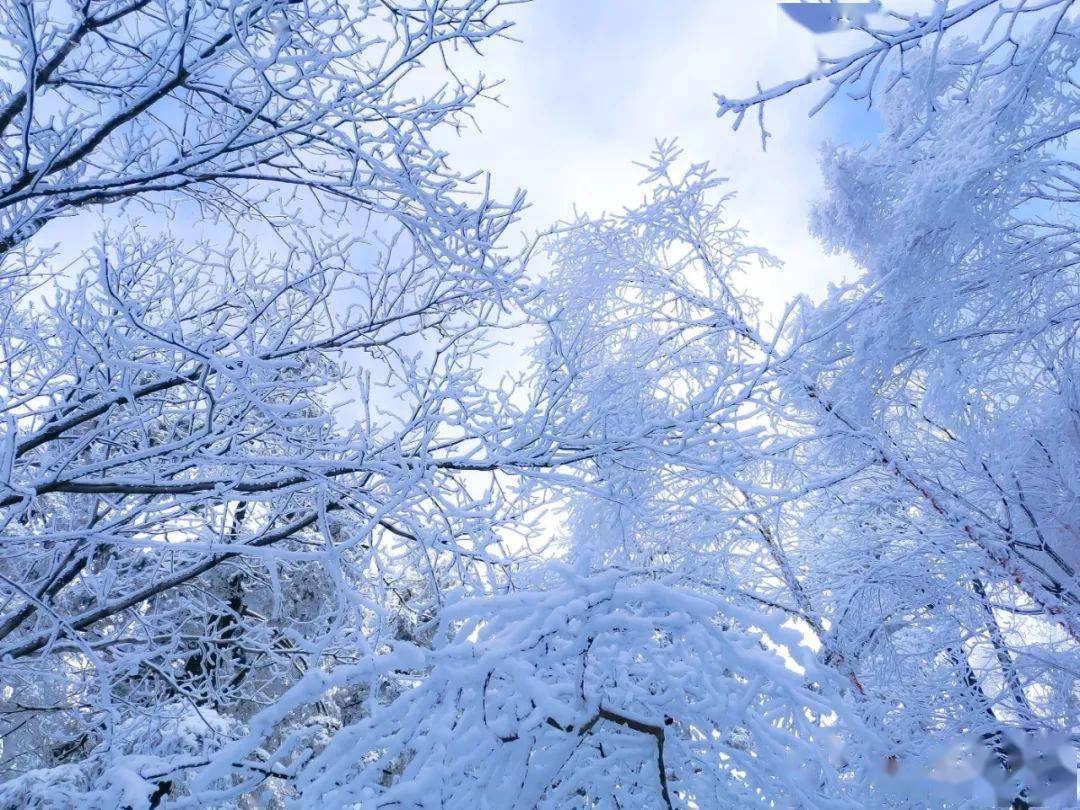 白云山冬日雪景,等你来! 白云山的冬天,是个温暖的季节.