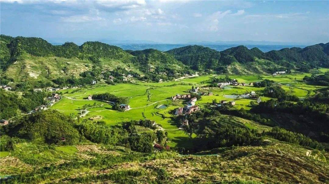 (梁平区) 梁平区蟠龙镇老林村-李子 梁平区蟠龙镇扈槽村-大米 梁平区