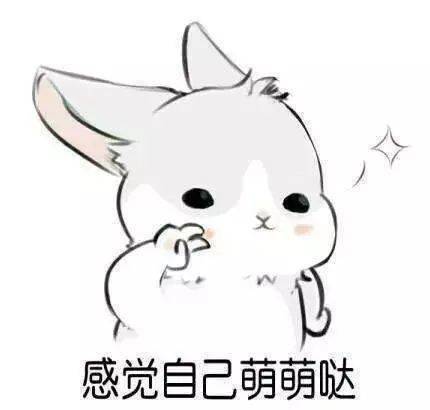 95afe0de2e8b4eee81371ac81b1467bf.jpeg