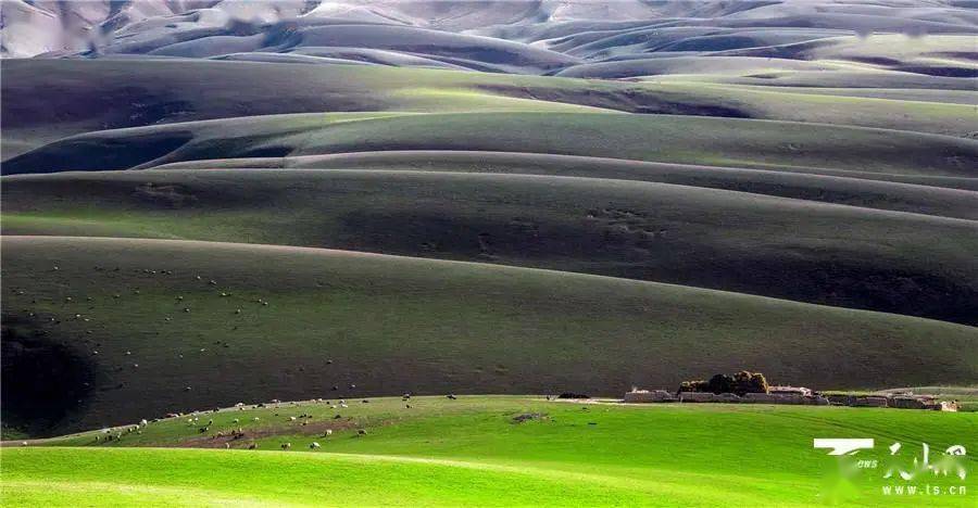 石河子市2020年gdp_石河子市91年的照片