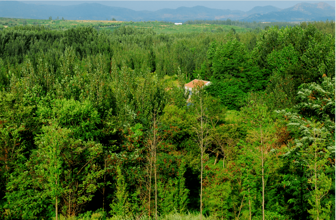 什么季节种树好活 107abac7f6054a1b883cb584e1e4682f.png