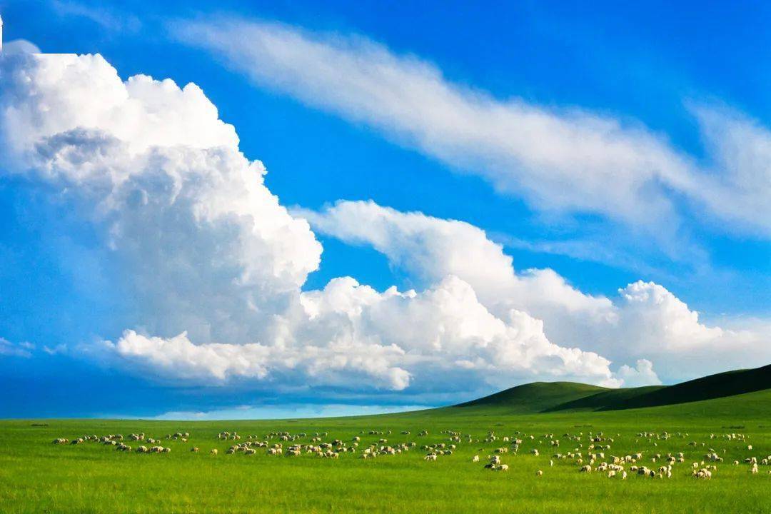 美丽中国 • 内蒙古自治区篇丨环保清风吹绿草原