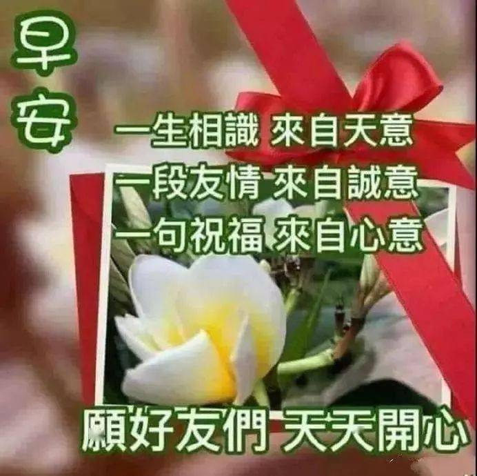 11月30日,最漂亮早上好动态表情图片大全,早晨好美图大全