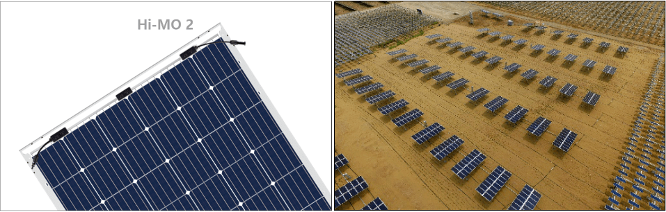 公告|白皮书：10GW里程碑，回望隆基双面组件的巅峰时刻