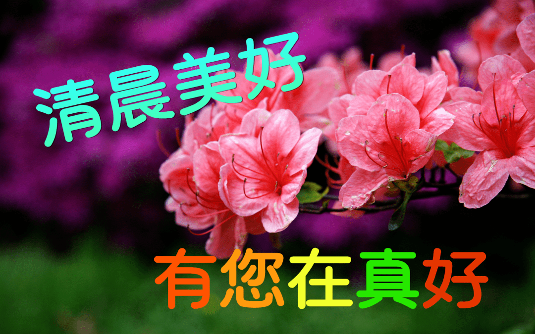 2020早上好动态表情图片大全,早晨好问候语句子!