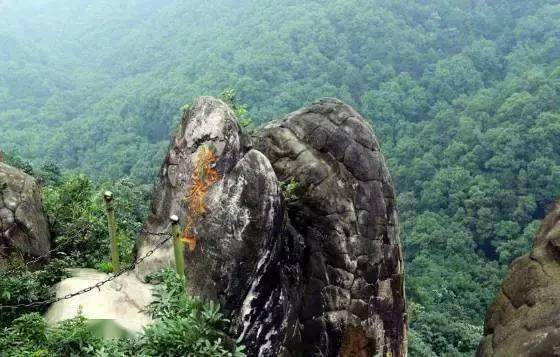 天海自组团:淮北龙脊山森林公园特惠一日游