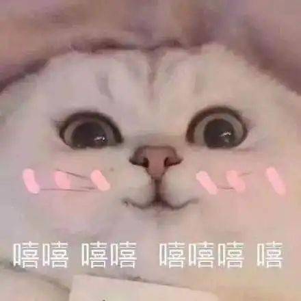 53969faf80eb4b0e814cee8e80f71d7a.jpeg