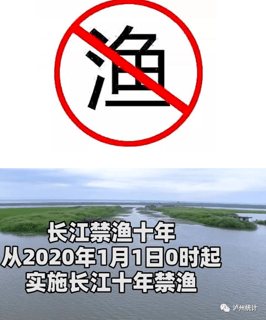 实施长江禁渔制度保护长江生态环境