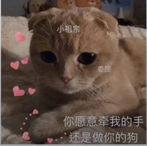 适合哄男朋友的甜甜的表情包