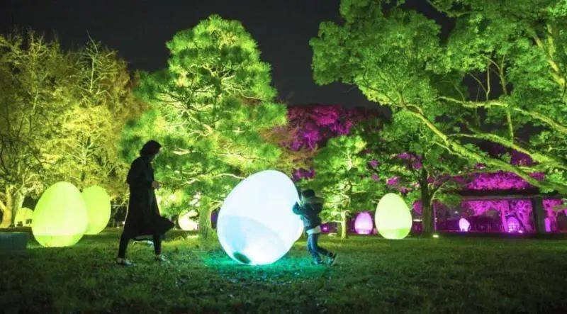 总投资3000万中原最大的沉浸式互动光影景观即将亮相