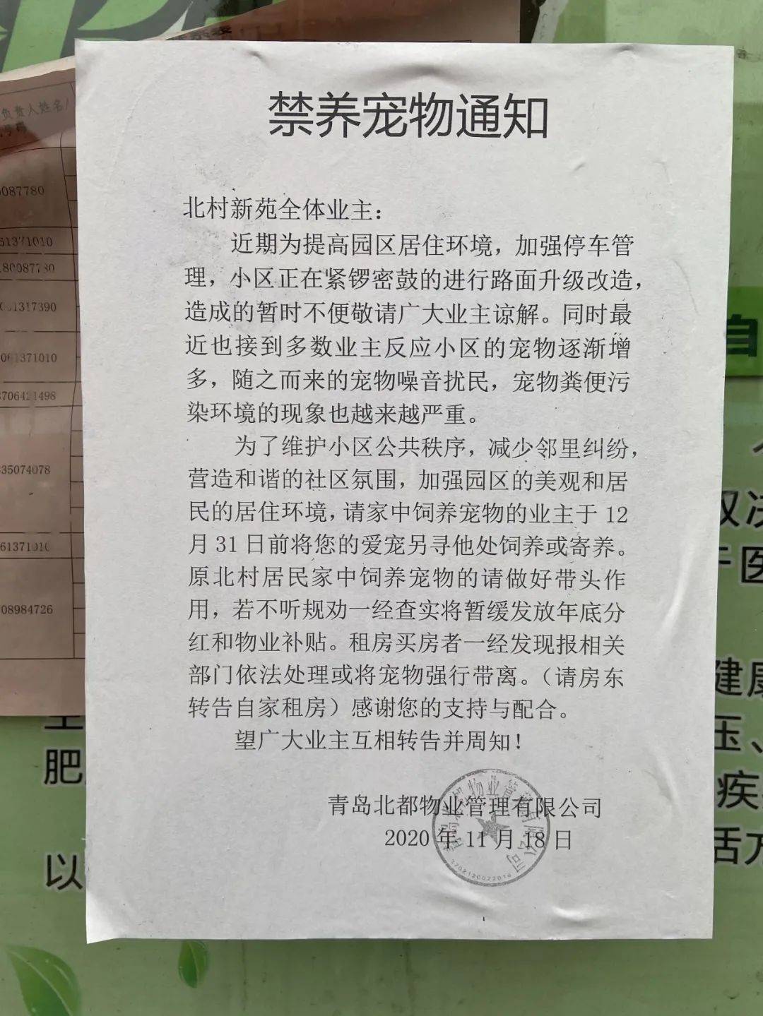 生活中的你养宠物吗? 如果你所在的小区禁止养宠物, 你会怎么办?