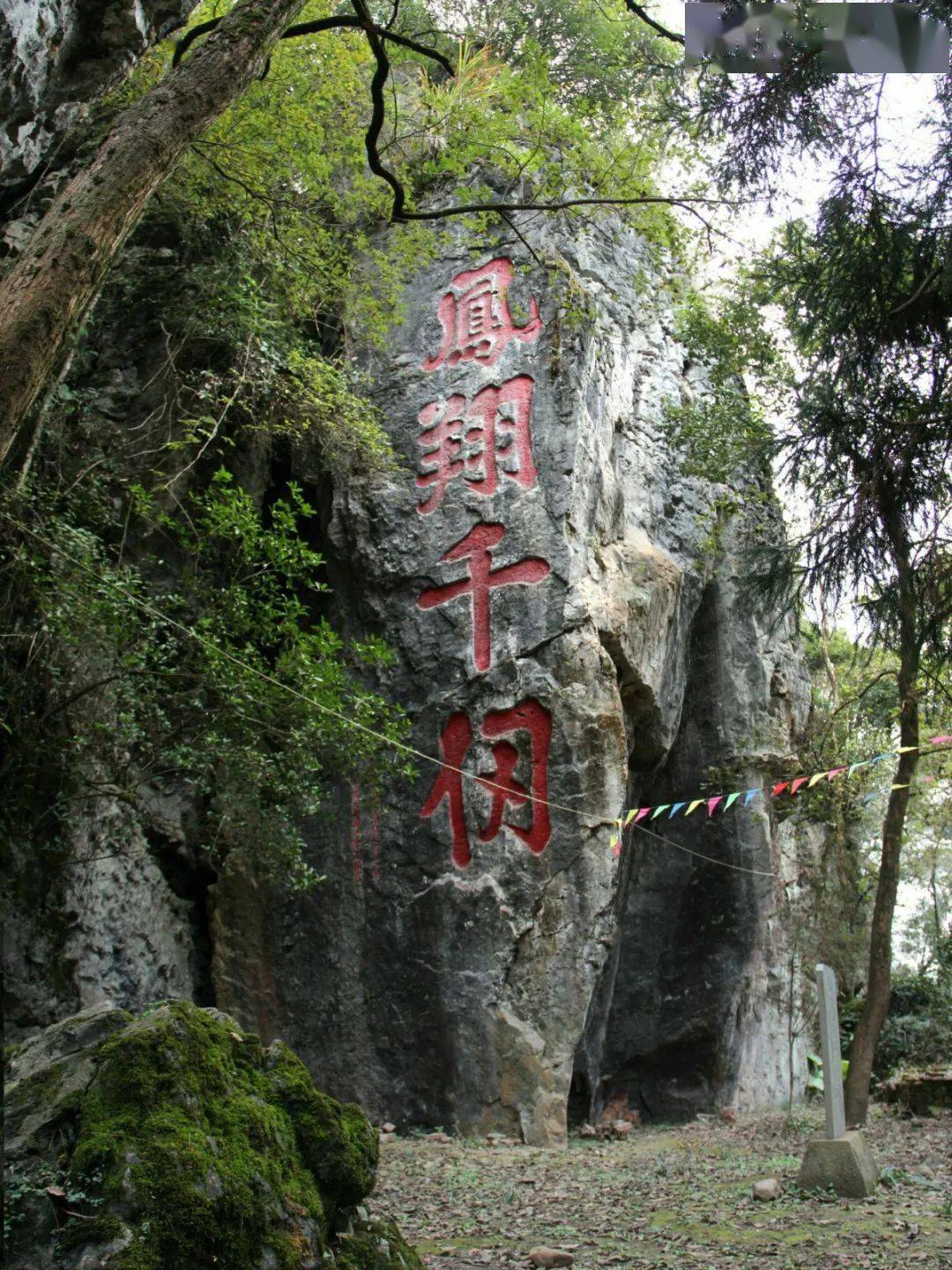 龙岩人口姓氏_龙岩学院