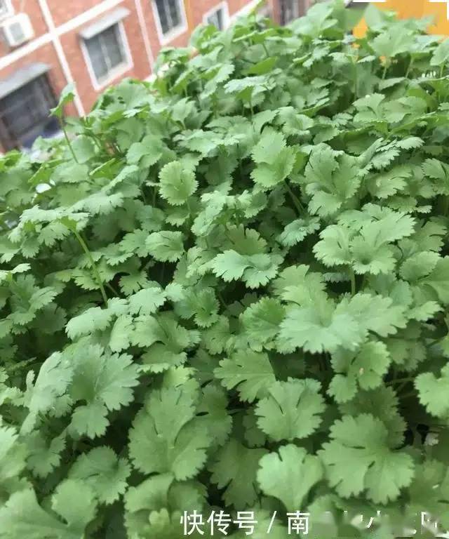 d99d09706abb4d4c84800aa8bdf8f506.jpeg