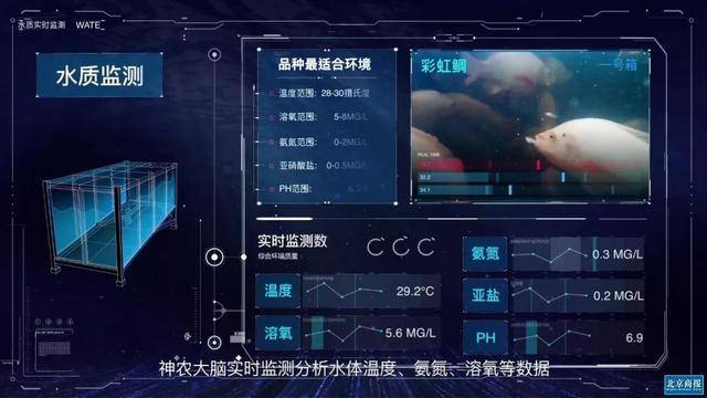 智能|七年打磨 京东数科要做新时代产业共进者