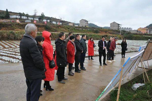 随阳农场人口_枣阳随阳农场图片(3)