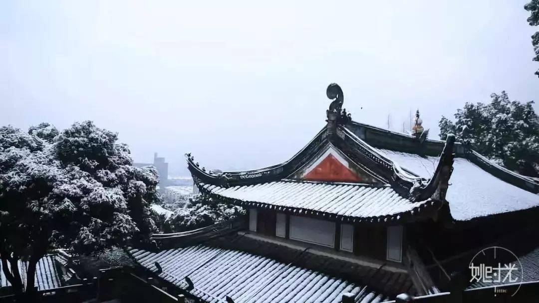 杭州下雪了湖州下雪了余姚的雪景也奔着你来了