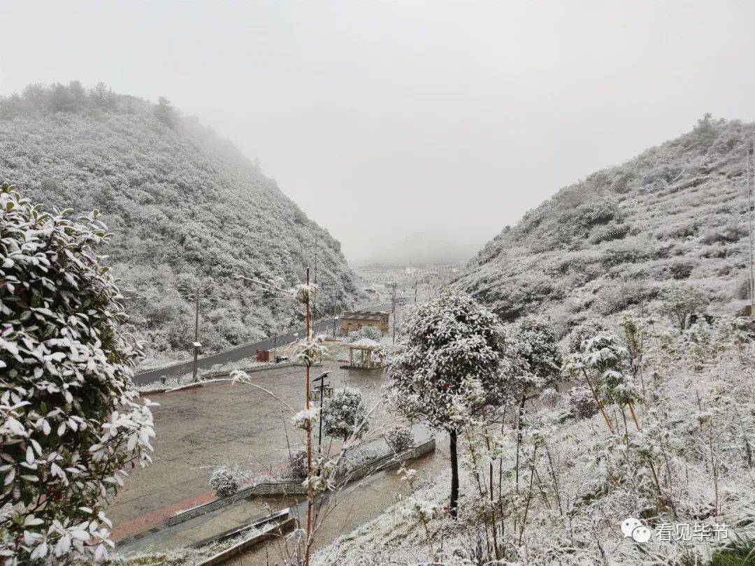 下雪啦!来看看毕节这些地方的雪景图_手机搜狐网