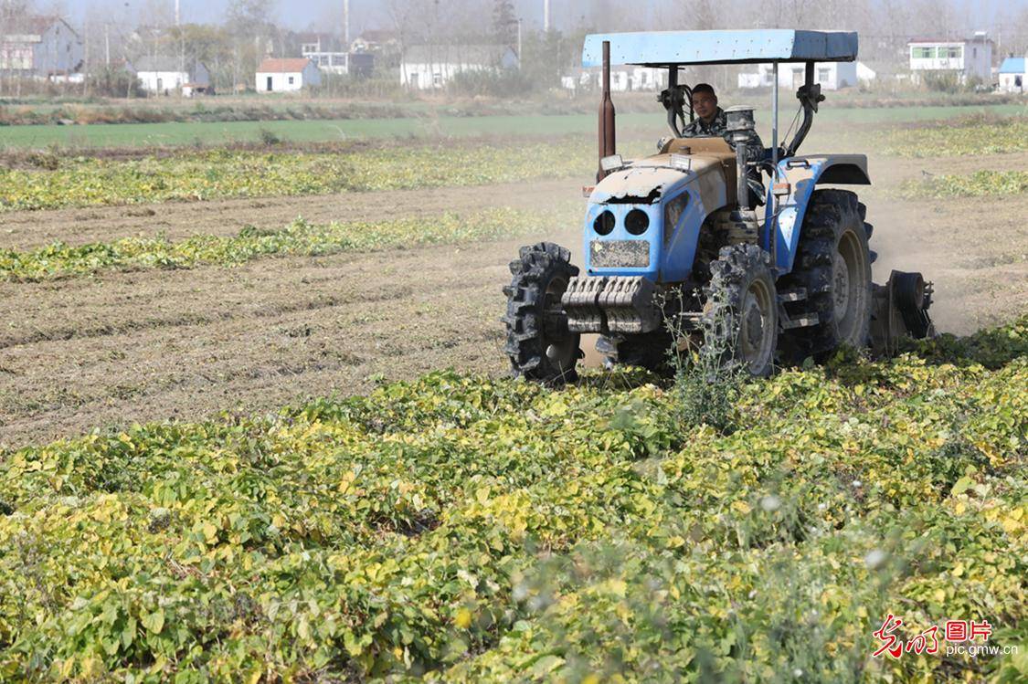 海港区2020gdp_再见2020你好2021图片(2)