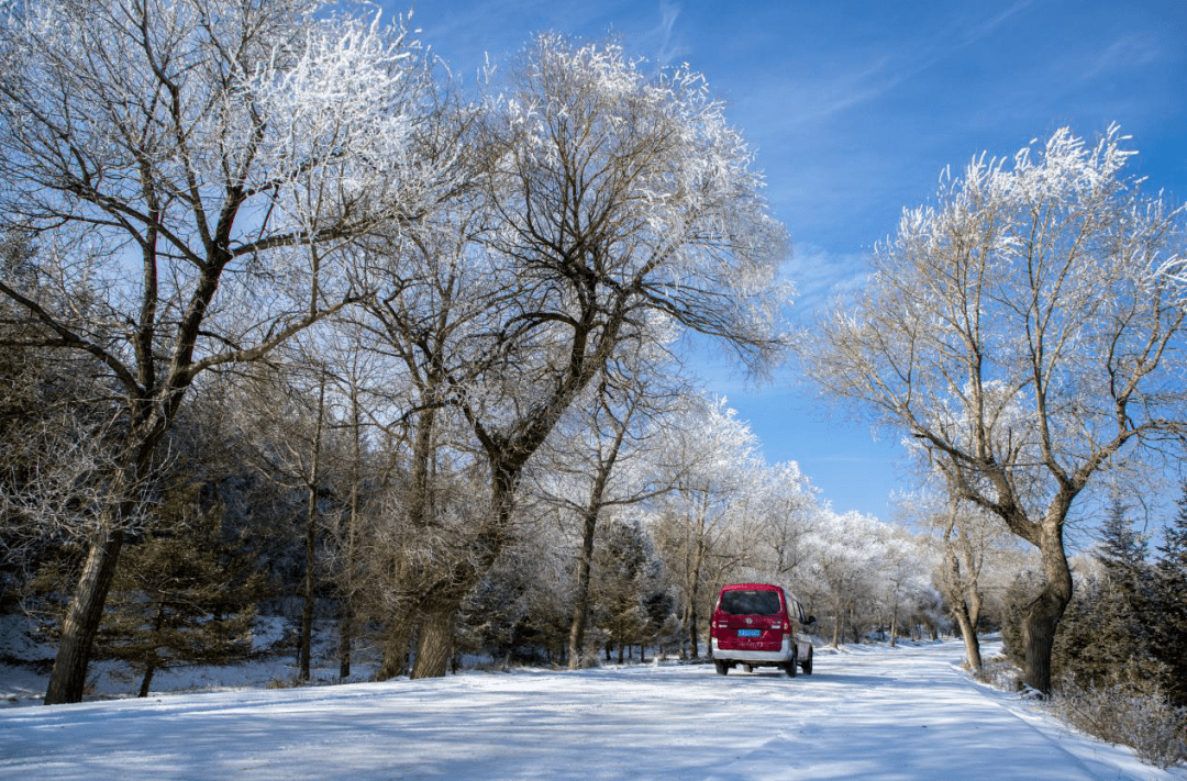 会宁:冬景如画 雪落成诗