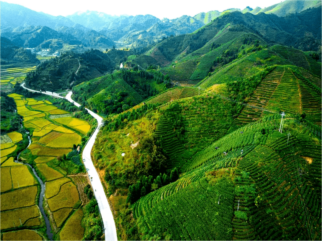 金秀县人口_国庆来宾旅游半价游,约起啦(2)