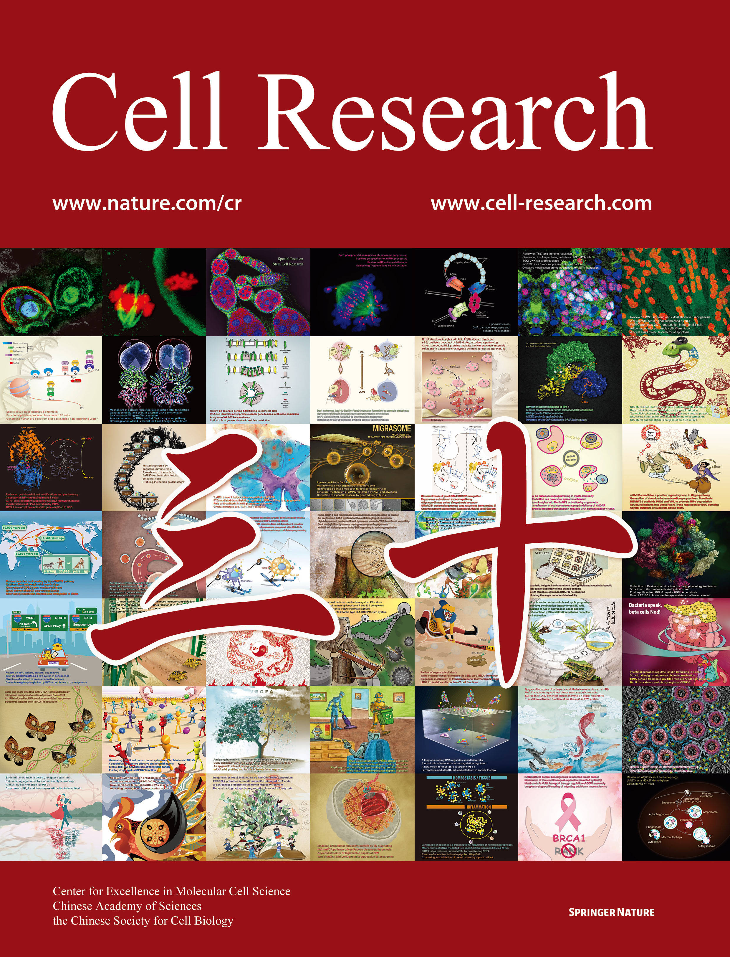 研究|《细胞研究》创刊30年：中国自主创办期刊影响因子首超20