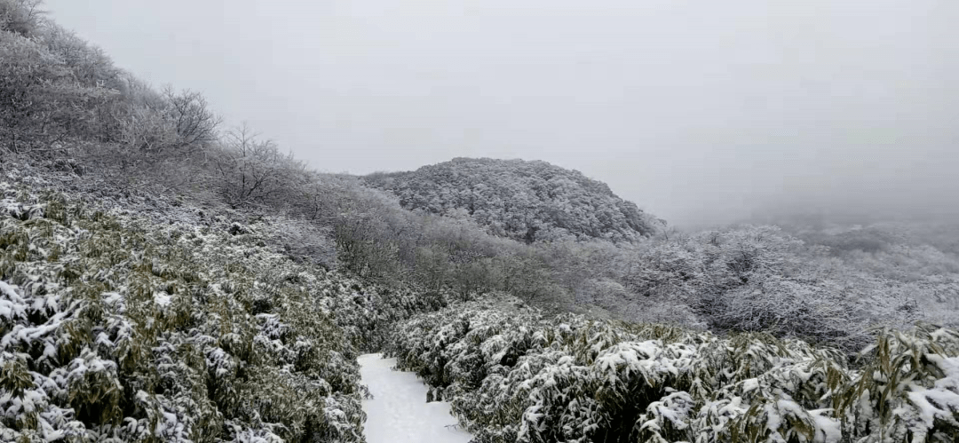 今天, 雪花如约而至, 重庆丰都,武隆,南川, 酉阳,秀山,石柱,黔江 的