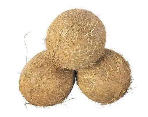 毛椰子:青椰子长大后,脱皮后的椰子.