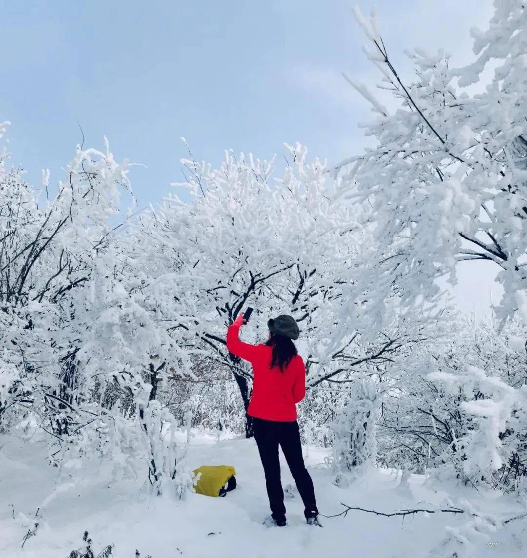 杨斜镇人口_人口普查(3)