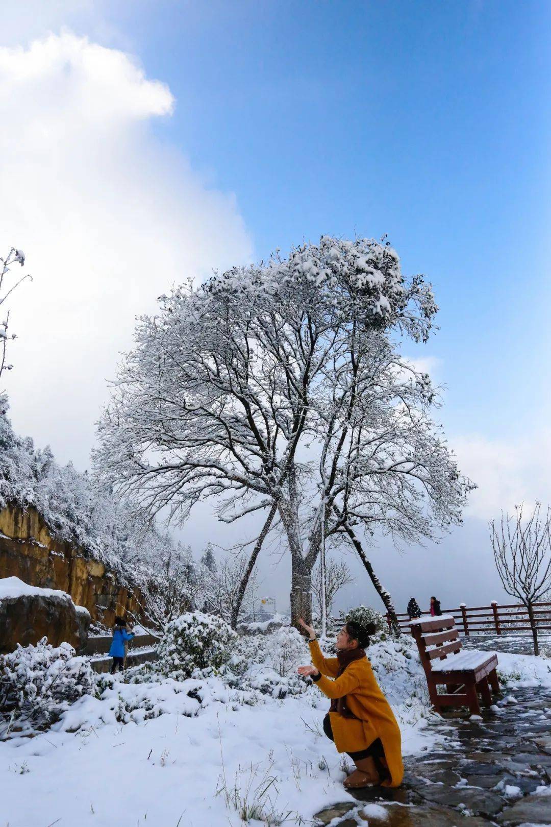 下雪啦武陵山迎来2020年冬日里的第一场雪