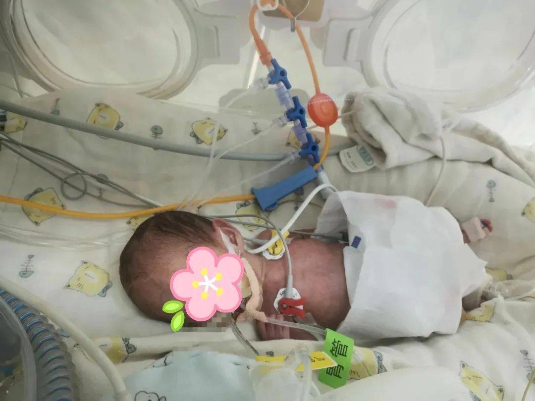 婴儿几个月会走好 93be48c686ec4c0ea99cd22118a27240.jpeg