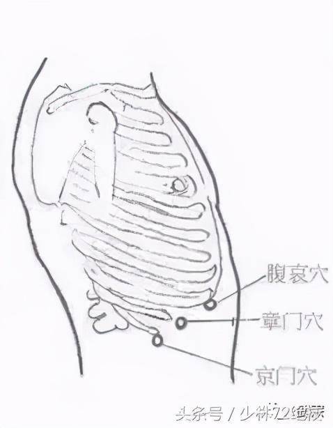 武当擒拿之耳根拿法腰肋拿法腿骱擒拿法大腿擒拿法详细图解