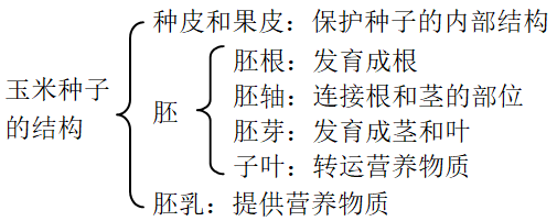 8,种子裸露的植物是裸子植物,如:油松,侧柏,苏铁,银杏等.