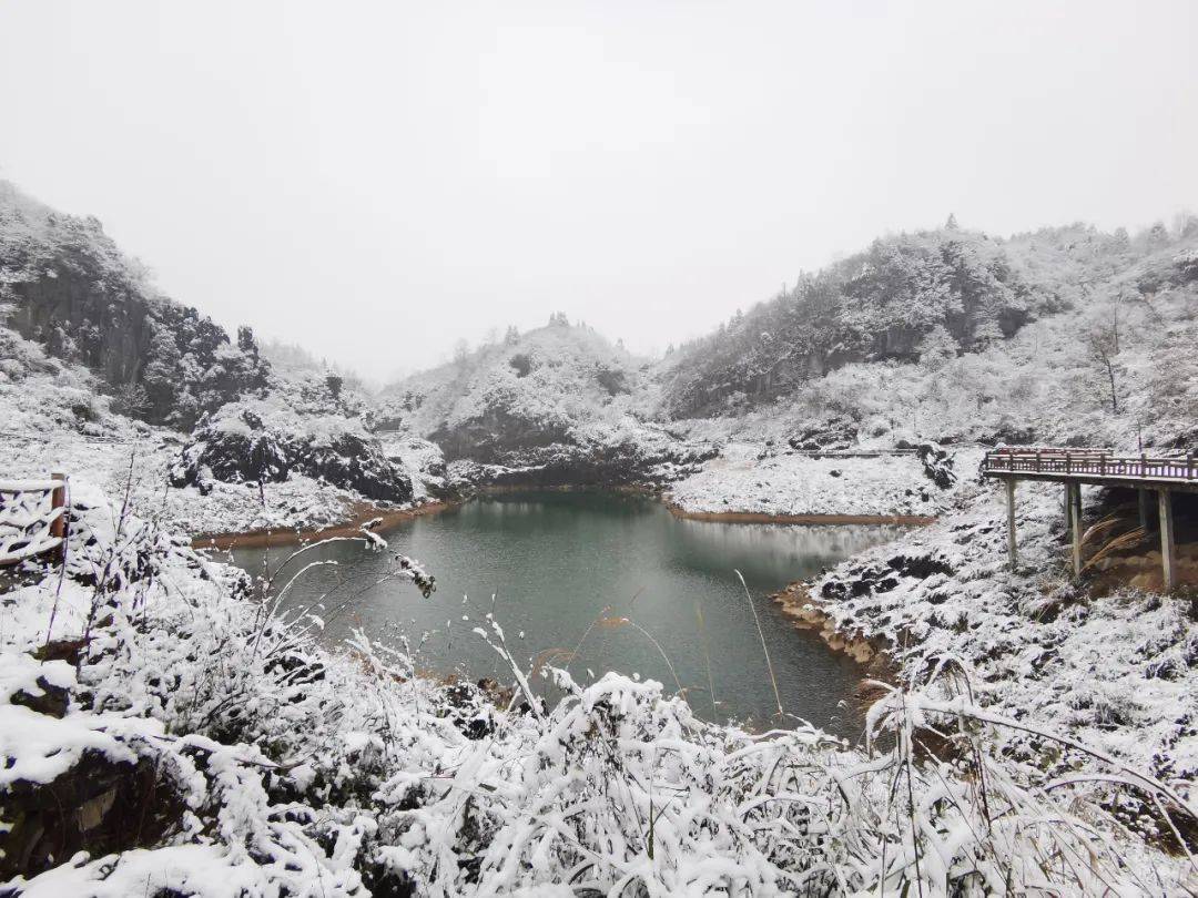 日前,龙山下雪了,境内海拔较高的八面山,大安,洛塔等地的雪景在微信