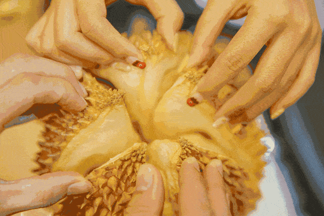 庆贺一捧饭团入驻平顶山7.1视界!_榴莲