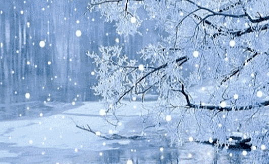 明日大雪