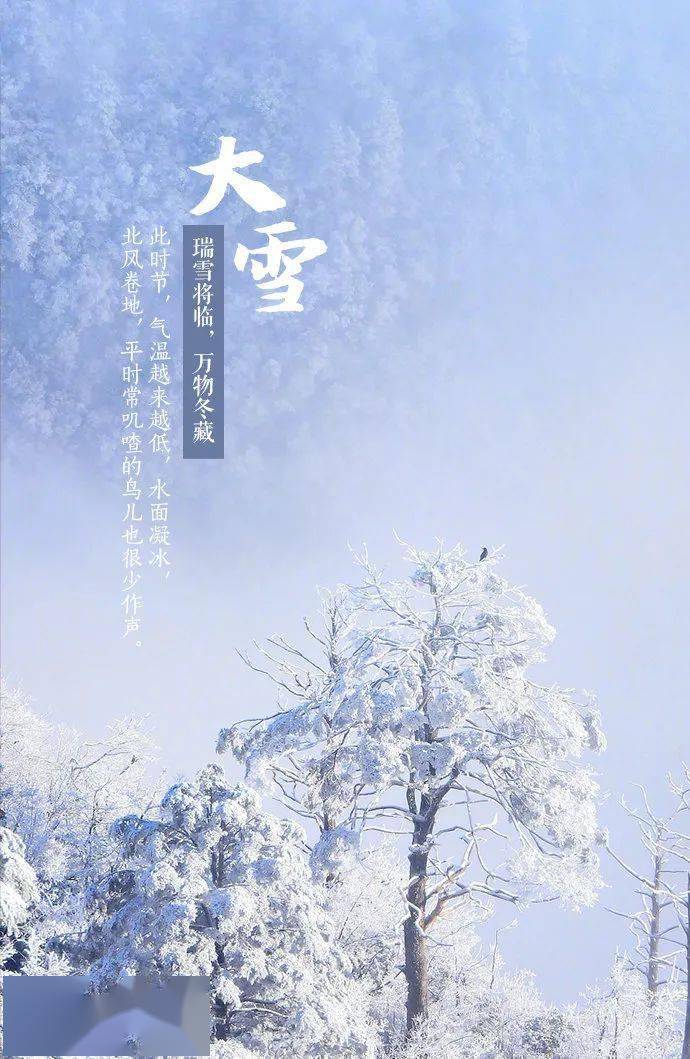 大雪|觅一处暖浴,等一场雪来