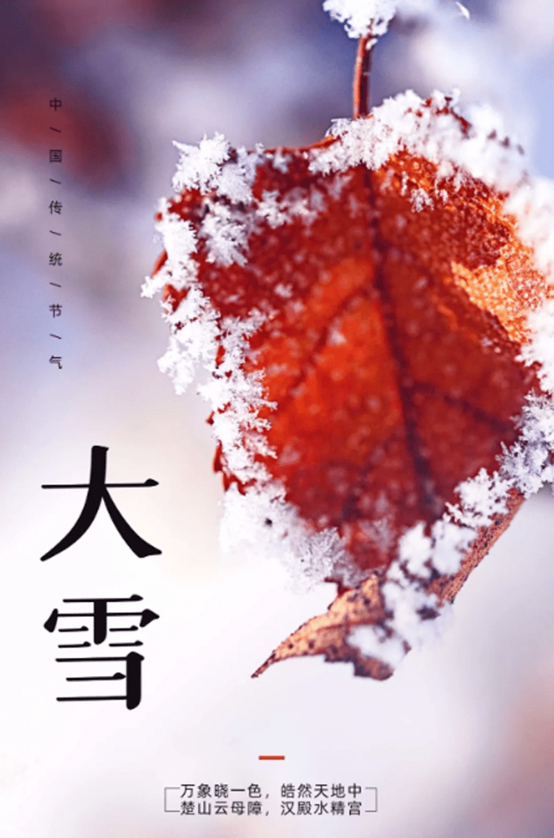 今日大雪,最暖的祝福送给您,祝您冬日安康!