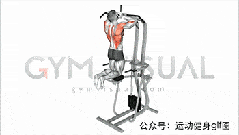 8fa99c7bc6ff4a5bbca75a468d5d2b28.gif